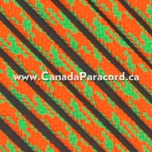 100 Foot Multi-Colour - Nylon 7 Strand Paracord By R&W Rope